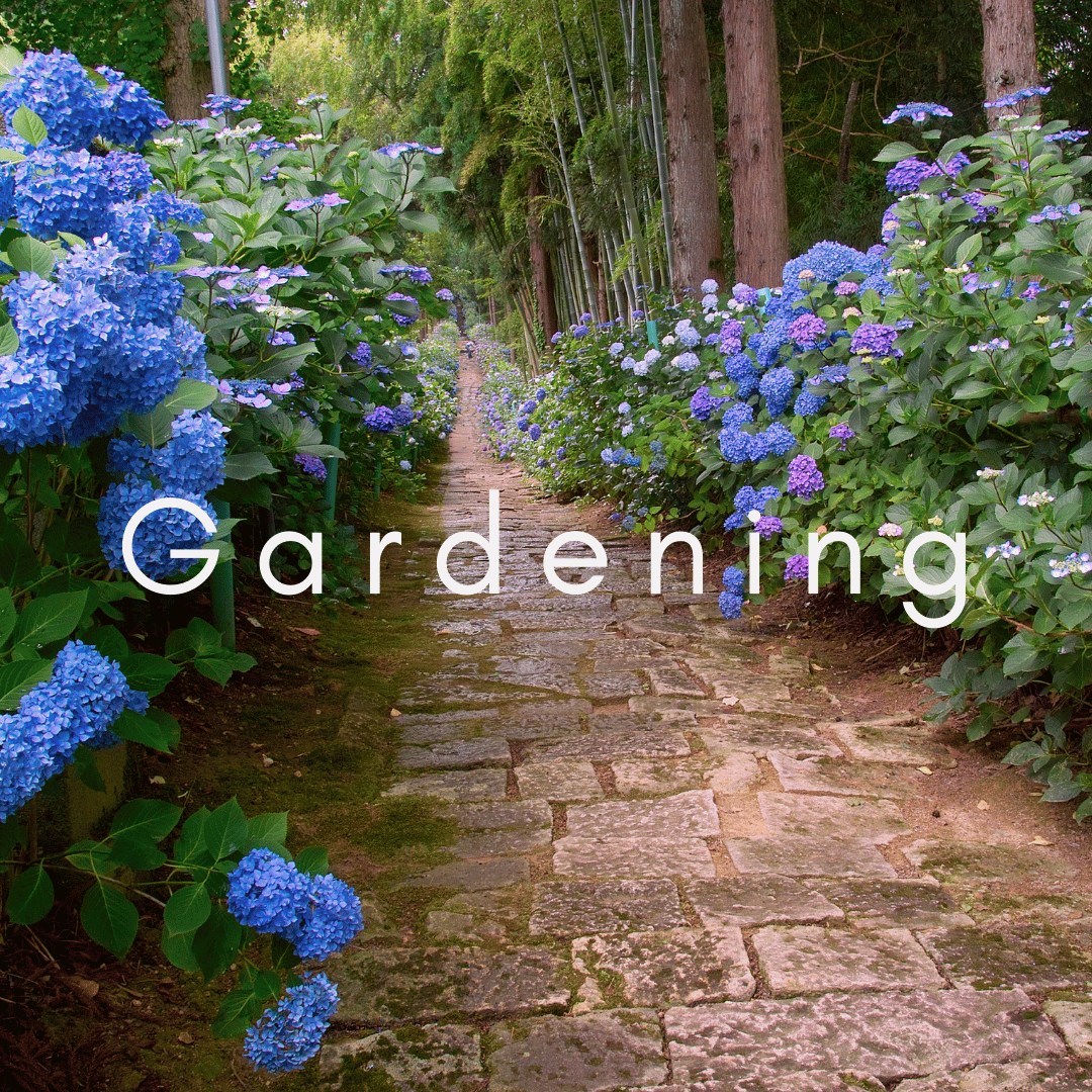 Gardening and Horticulture – Stirling Book Company