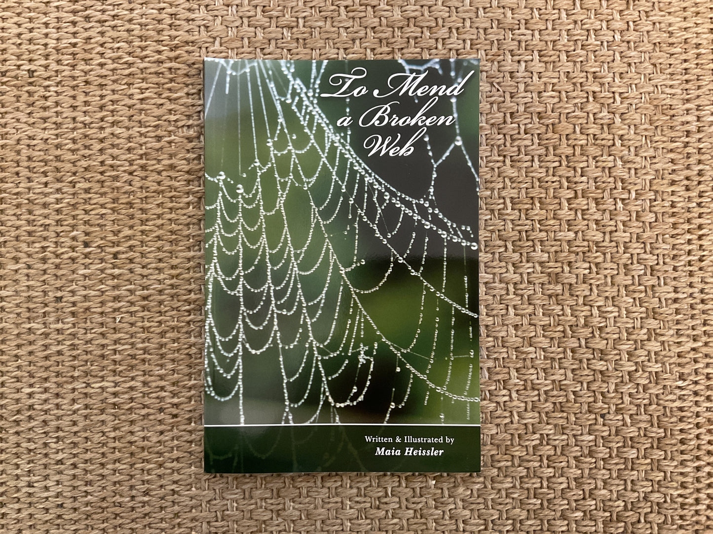 To Mend A Broken Web