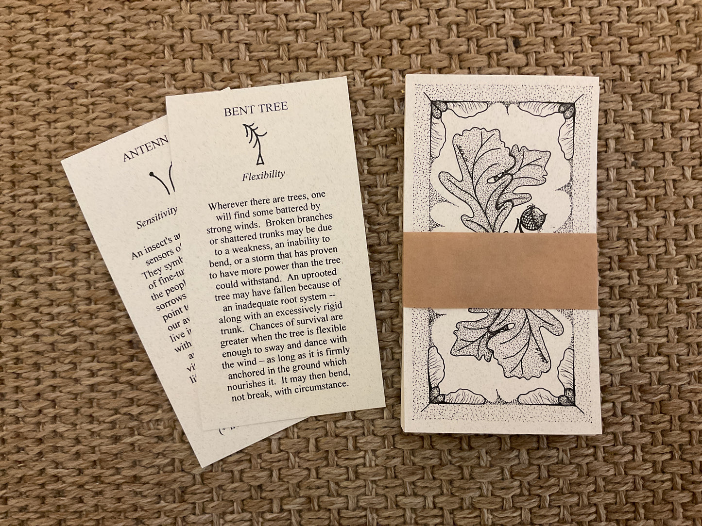 The Wisdom of Nature - nature cards