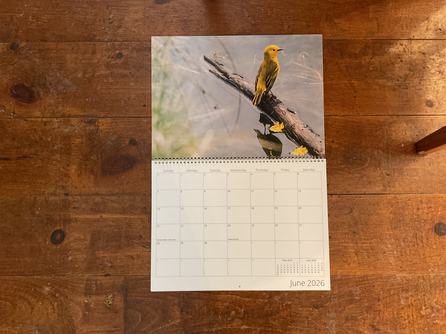 Songbird Nature Calendar 2026 Large
