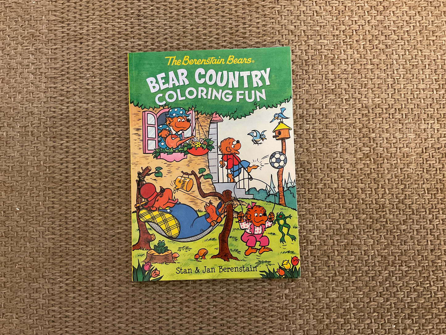 The Berenstain Bears- Bear Country Colouring Fun