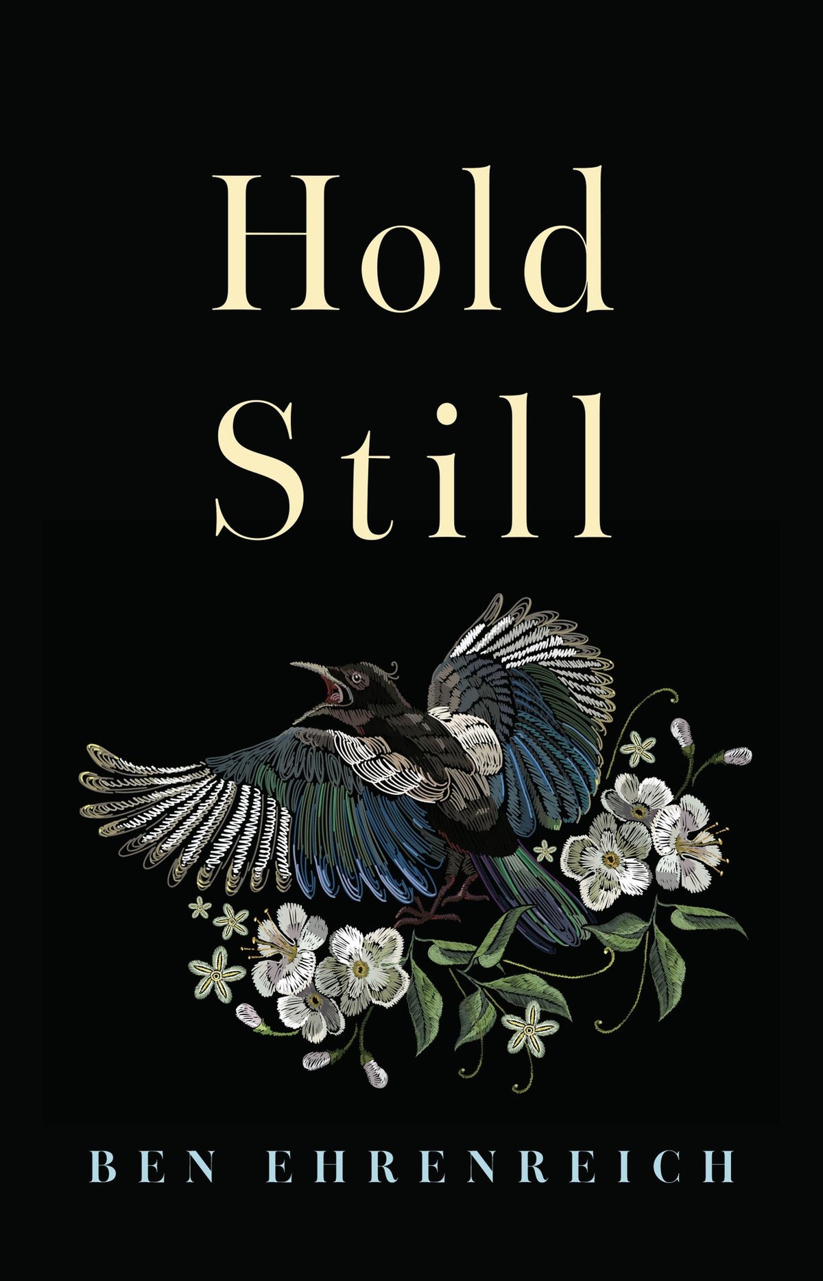 Hold Still