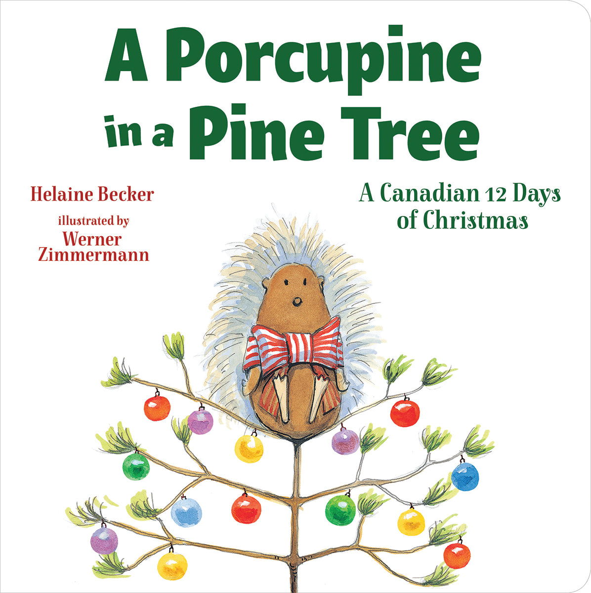 A Porcupine in a Pine Tree