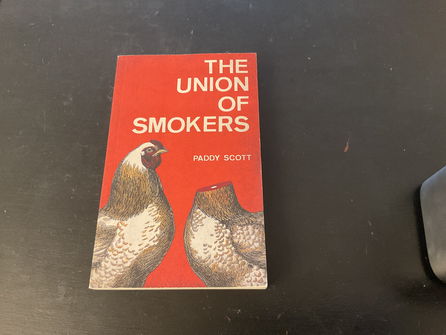 Locally Published Author Bundle (Invisible Publishing, Prince Edward County)