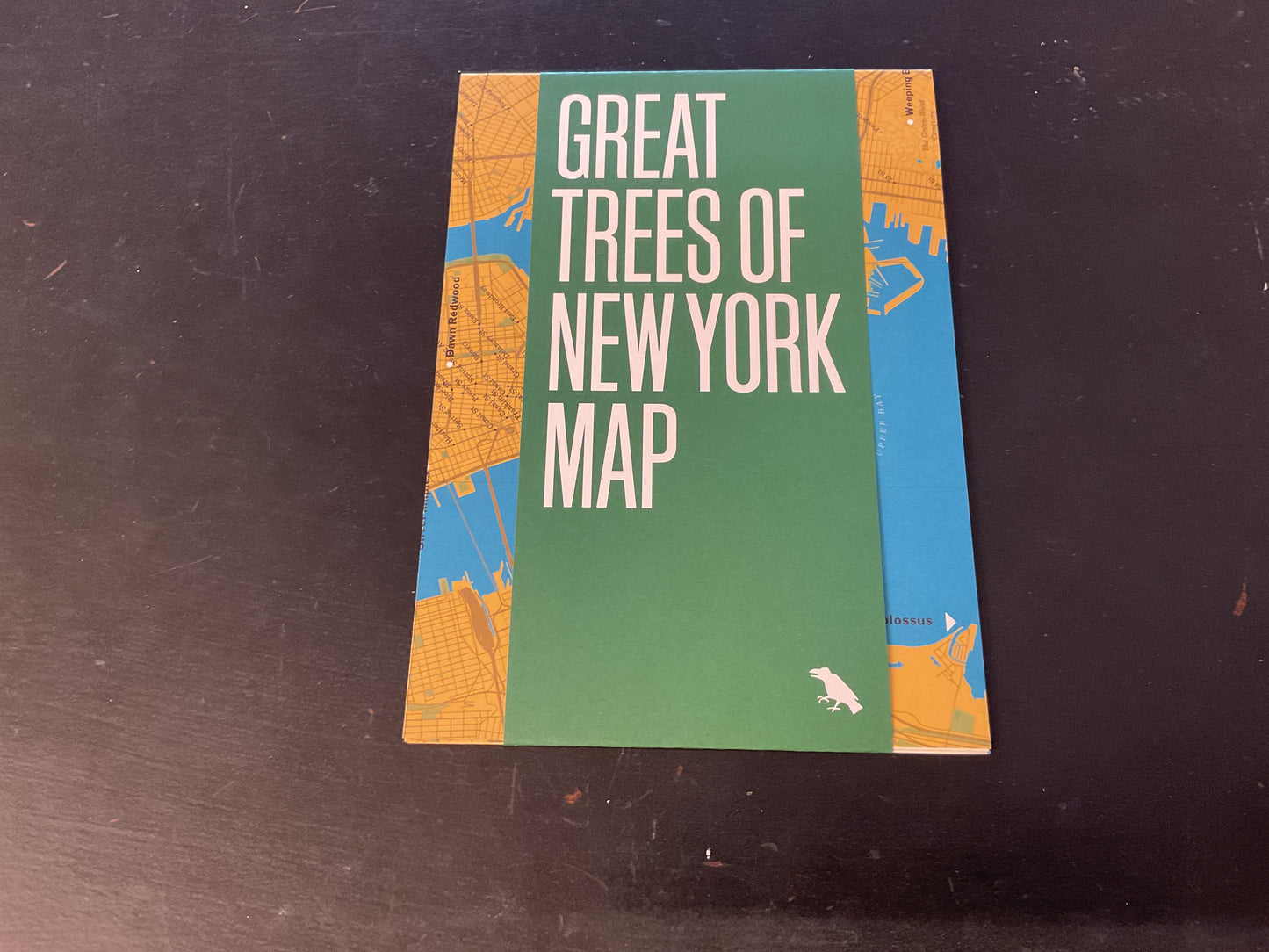 Great Trees of New York