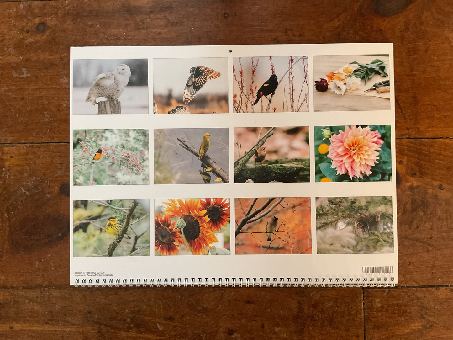 Songbird Nature Calendar 2026 Large