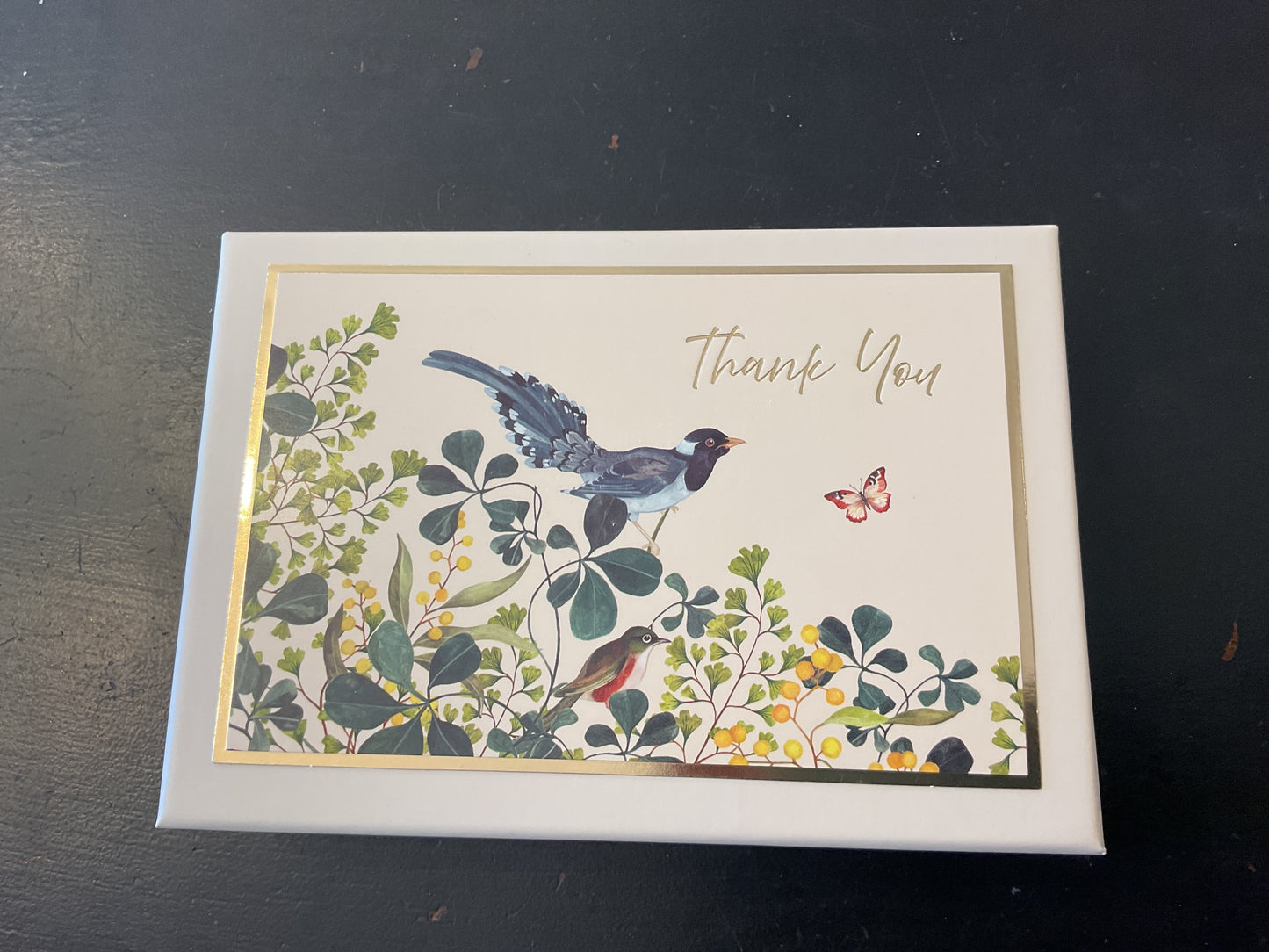 Thank You Cards Boxed Set - Lillian August