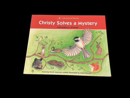 Christy Solves a Mystery