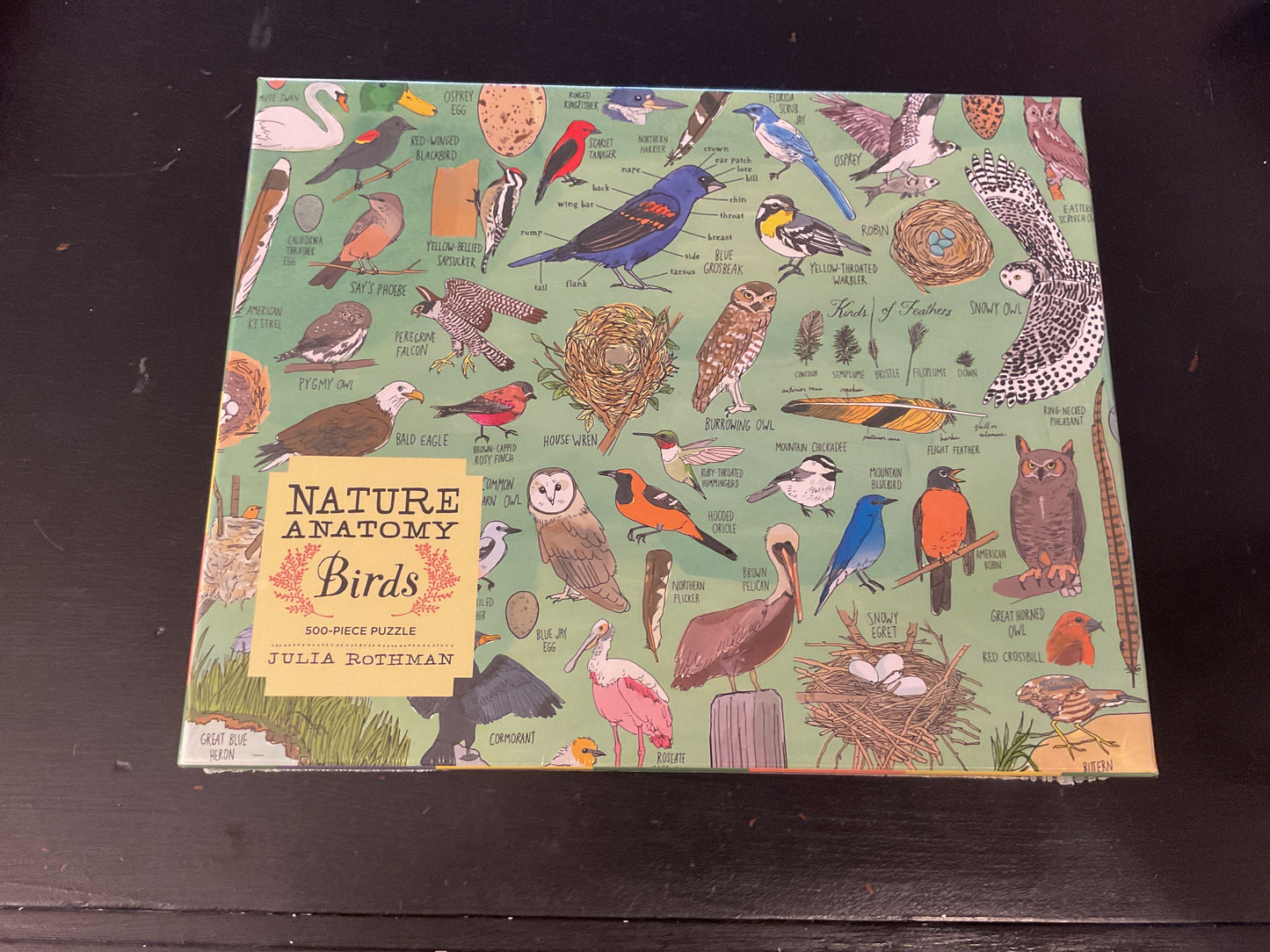 Nature Anatomy Birds: 500-piece puzzle