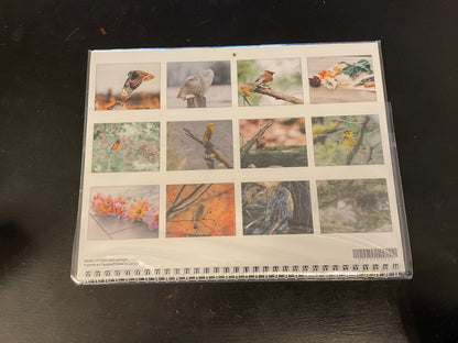Songbird Nature Calendar 2026 Small