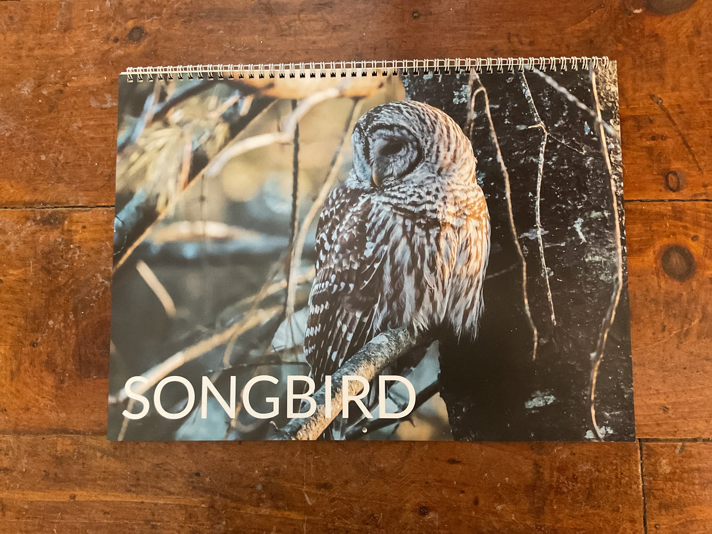 Songbird Nature Calendar 2026 Large