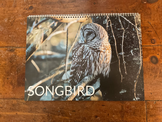 Songbird Nature Calendar 2026 Large