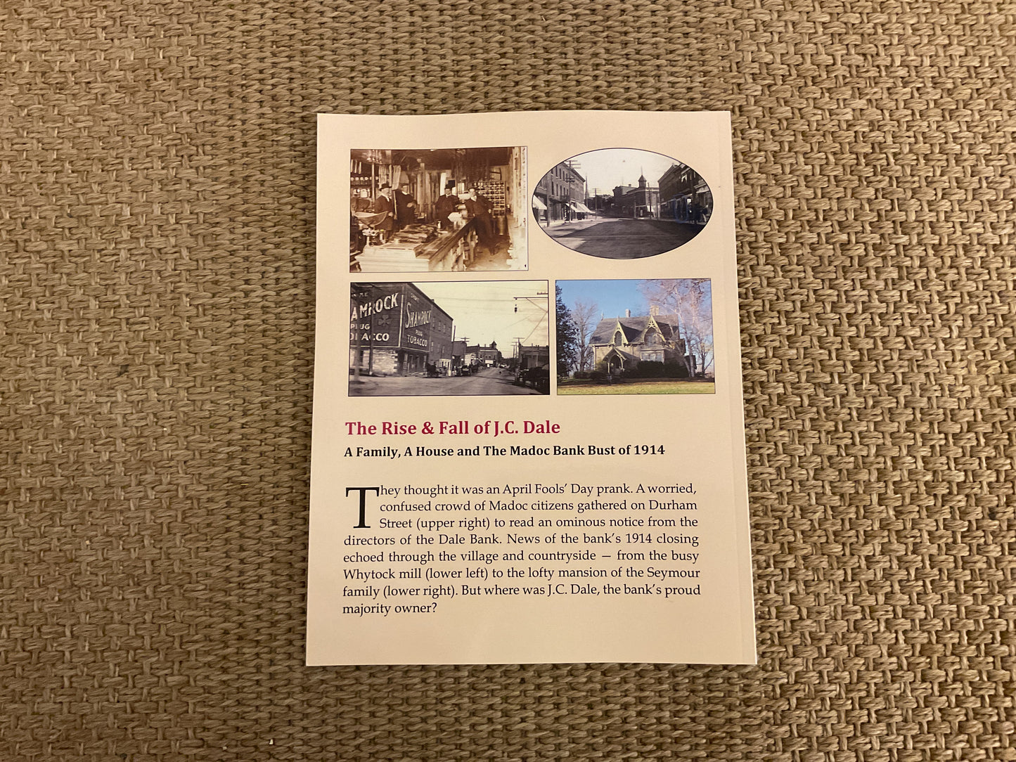 The Rise and Fall of J.C. Dale : a family, a house and the madoc bank bust of 1914.