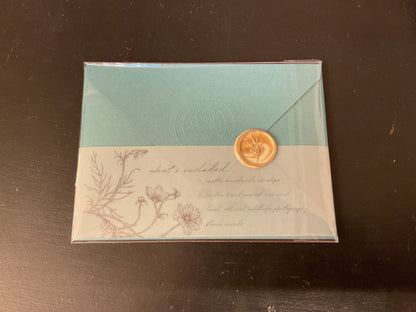 Cards Songbird Photography Fall Fox and Fall Bird