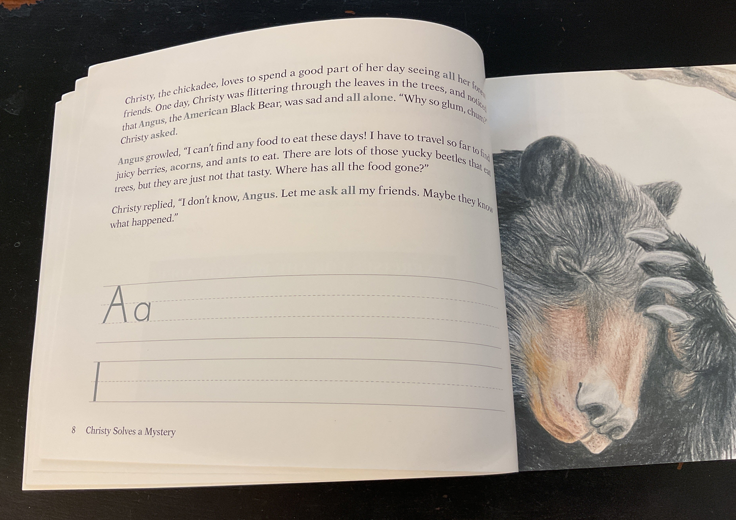 Christy Solves a Mystery