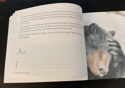 Christy Solves a Mystery