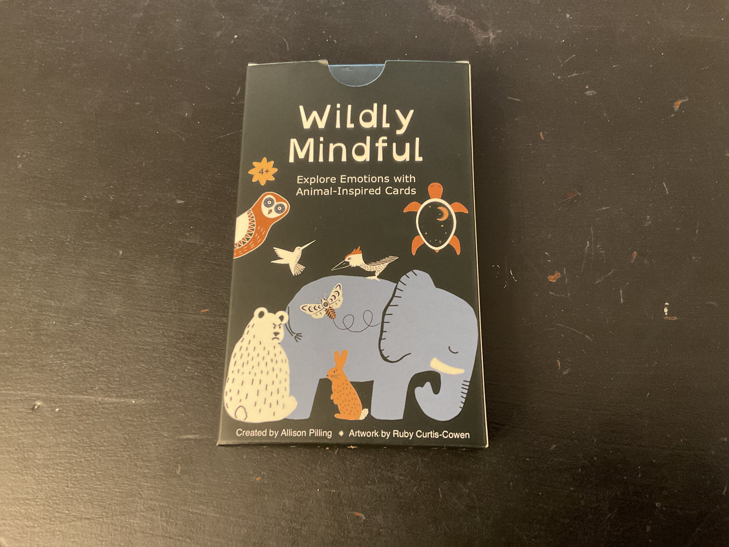 Wildly Mindful