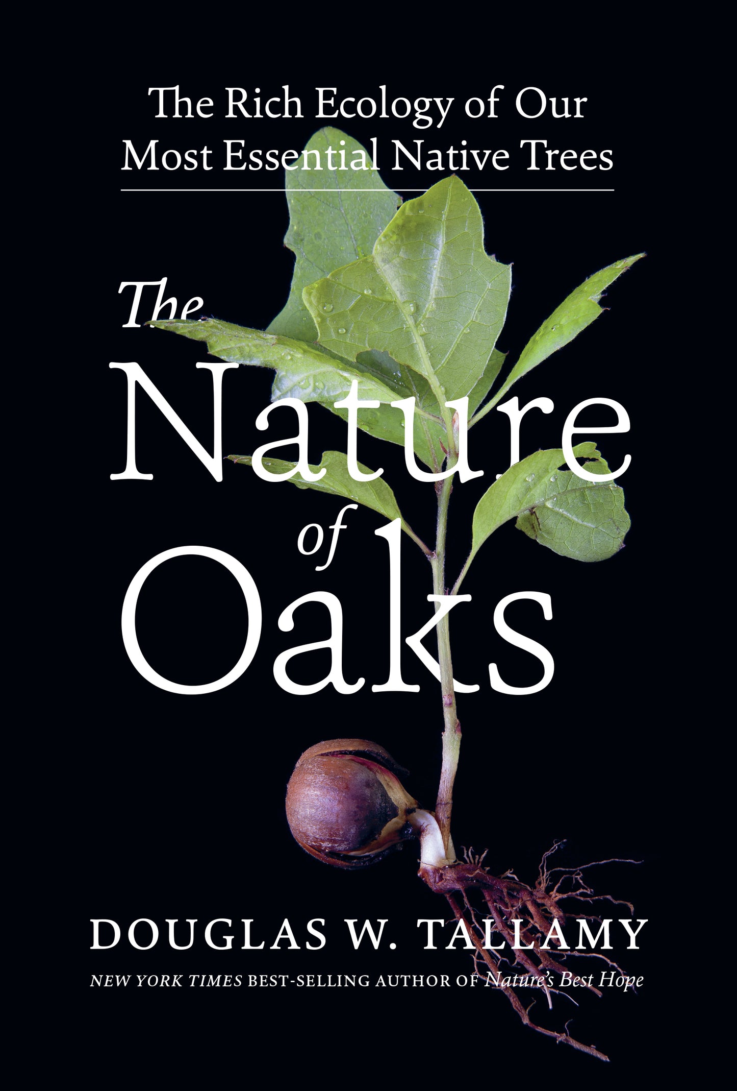 The Nature of Oaks