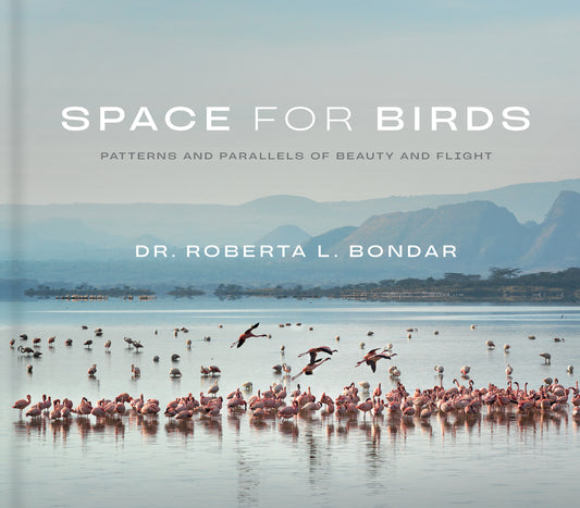 Space for Birds