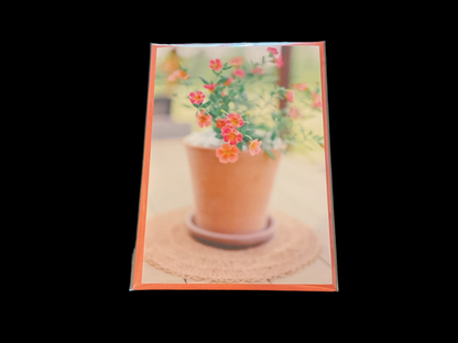 Cards Songbird Photography-Spring/Summer Flowers & Animals