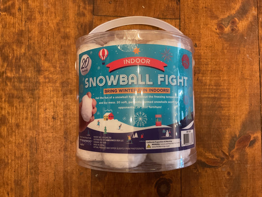 Indoor Snowball Fight (20)