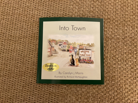 Railfence Bunch - Into Town