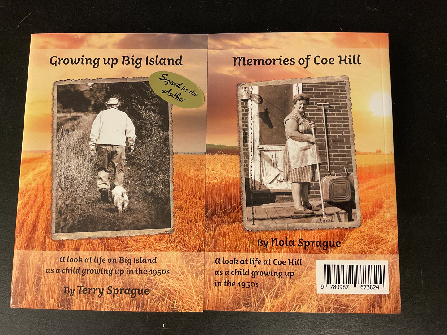 Growing up Big Island/Growing up Cole Hill